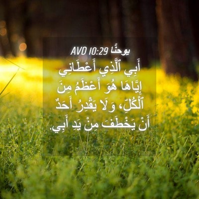 Picture 04 - يوحنَّا 10:29 AVD - أَبِي ٱلَّذِي أَعْطَانِي - Bible Verse Picture