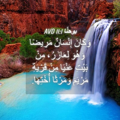 Picture 04 - يوحنَّا 11:1 AVD - وَكَانَ إِنْسَانٌ - Bible Verse Picture