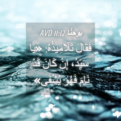 Picture 04 - يوحنَّا 11:12 AVD - فَقَالَ تَلَامِيذُهُ: «يَا - Bible Verse Picture