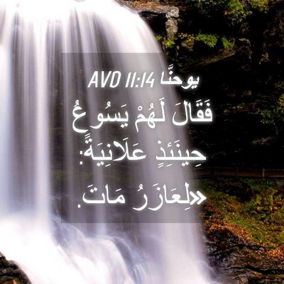 Picture 04 - يوحنَّا 11:14 AVD - فَقَالَ لَهُمْ يَسُوعُ - Bible Verse Picture