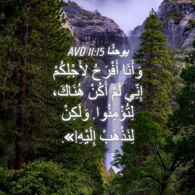 Picture 04 - يوحنَّا 11:15 AVD - وَأَنَا أَفْرَحُ - Bible Verse Picture