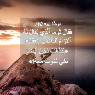 Picture 04 - يوحنَّا 11:16 AVD - فَقَالَ تُومَا ٱلَّذِي - Bible Verse Picture