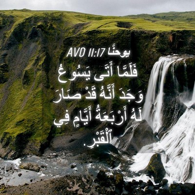 Picture 04 - يوحنَّا 11:17 AVD - فَلَمَّا أَتَى يَسُوعُ - Bible Verse Picture