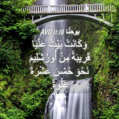 Picture 04 - يوحنَّا 11:18 AVD - وَكَانَتْ بَيْتُ عَنْيَا - Bible Verse Picture