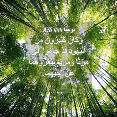 Picture 04 - يوحنَّا 11:19 AVD - وَكَانَ كَثِيرُونَ مِنَ - Bible Verse Picture