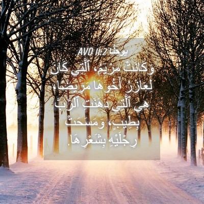 Picture 04 - يوحنَّا 11:2 AVD - وَكَانَتْ مَرْيَمُ، - Bible Verse Picture