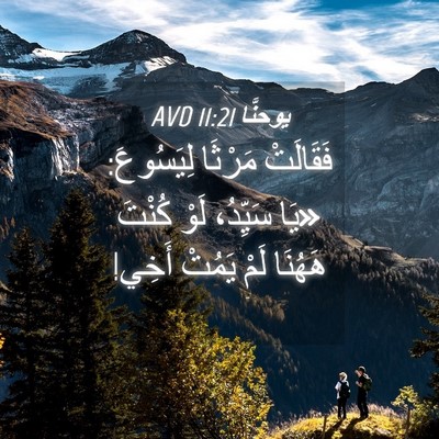 Picture 04 - يوحنَّا 11:21 AVD - فَقَالَتْ مَرْثَا - Bible Verse Picture