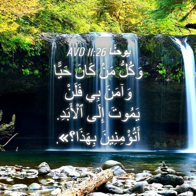 Picture 04 - يوحنَّا 11:26 AVD - وَكُلُّ مَنْ كَانَ حَيًّا - Bible Verse Picture