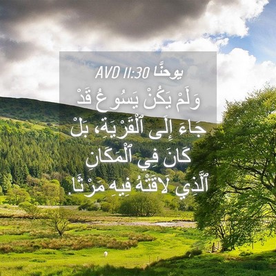 Picture 04 - يوحنَّا 11:30 AVD - وَلَمْ يَكُنْ يَسُوعُ قَدْ - Bible Verse Picture