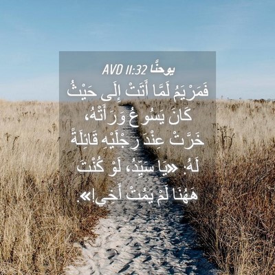 Picture 04 - يوحنَّا 11:32 AVD - فَمَرْيَمُ لَمَّا أَتَتْ - Bible Verse Picture