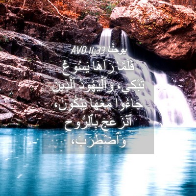 Picture 04 - يوحنَّا 11:33 AVD - فَلَمَّا رَآهَا يَسُوعُ - Bible Verse Picture