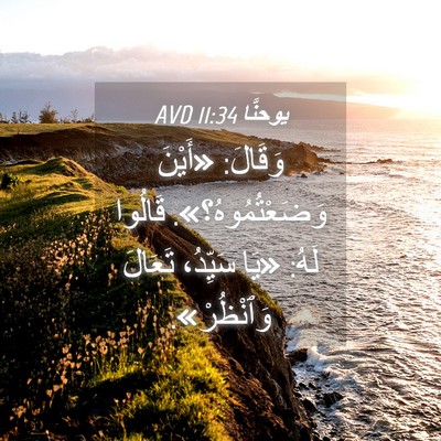 Picture 04 - يوحنَّا 11:34 AVD - وَقَالَ: «أَيْنَ - Bible Verse Picture