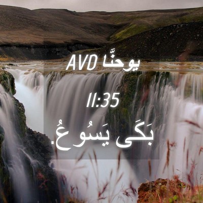 Picture 04 - يوحنَّا 11:35 AVD - بَكَى - Bible Verse Picture
