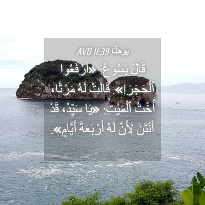 Picture 04 - يوحنَّا 11:39 AVD - قَالَ يَسُوعُ: «ٱرْفَعُوا - Bible Verse Picture