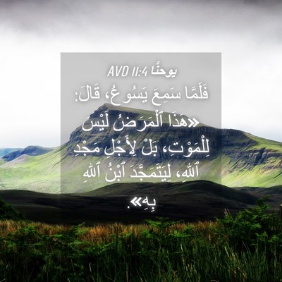 Picture 04 - يوحنَّا 11:4 AVD - فَلَمَّا سَمِعَ يَسُوعُ، - Bible Verse Picture