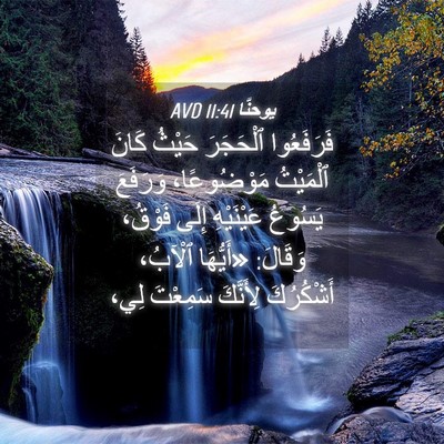 Picture 04 - يوحنَّا 11:41 AVD - فَرَفَعُوا ٱلْحَجَرَ - Bible Verse Picture