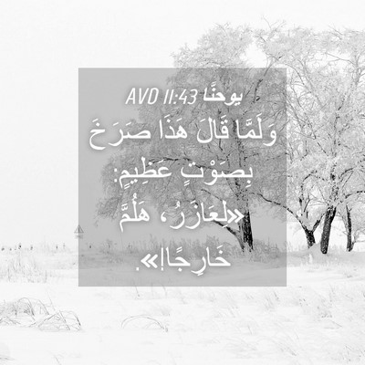 Picture 04 - يوحنَّا 11:43 AVD - وَلَمَّا قَالَ هَذَا - Bible Verse Picture