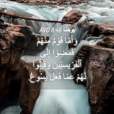 Picture 04 - يوحنَّا 11:46 AVD - وَأَمَّا قَوْمٌ مِنْهُمْ - Bible Verse Picture