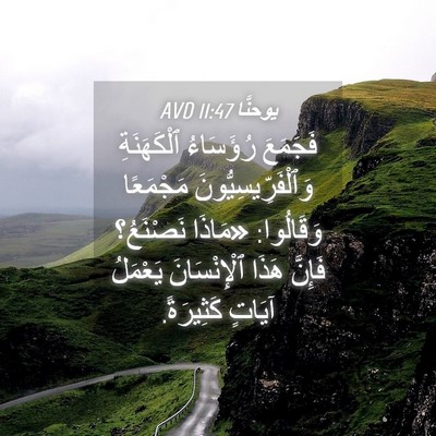 Picture 04 - يوحنَّا 11:47 AVD - فَجَمَعَ رُؤَسَاءُ - Bible Verse Picture