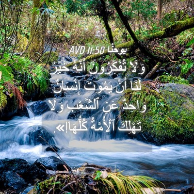 Picture 04 - يوحنَّا 11:50 AVD - وَلَا تُفَكِّرُونَ - Bible Verse Picture
