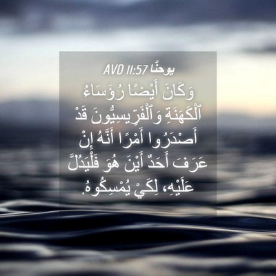 Picture 04 - يوحنَّا 11:57 AVD - وَكَانَ أَيْضًا رُؤَسَاءُ - Bible Verse Picture