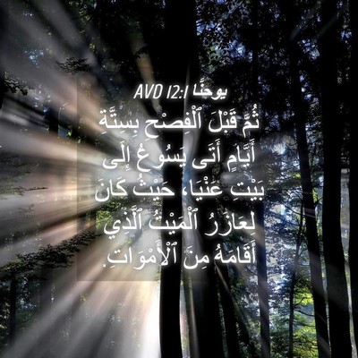Picture 04 - يوحنَّا 12:1 AVD - ثُمَّ قَبْلَ ٱلْفِصْحِ - Bible Verse Picture