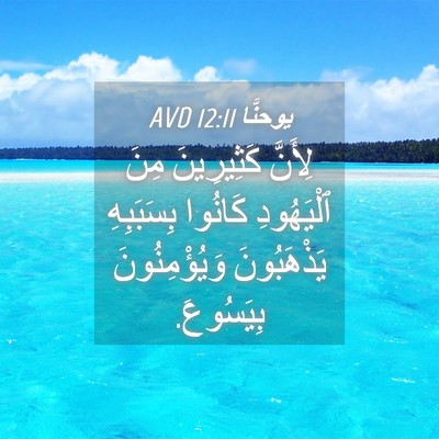 Picture 04 - يوحنَّا 12:11 AVD - لِأَنَّ كَثِيرِينَ مِنَ - Bible Verse Picture