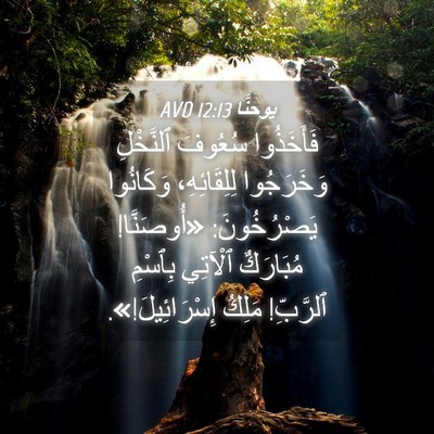 Picture 04 - يوحنَّا 12:13 AVD - فَأَخَذُوا سُعُوفَ - Bible Verse Picture