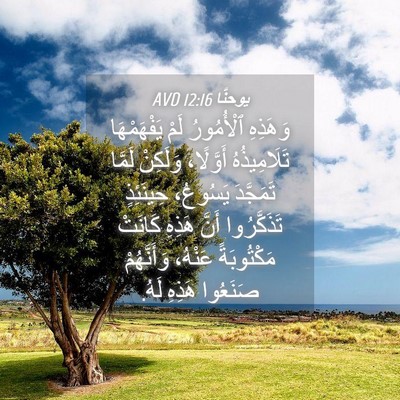 Picture 04 - يوحنَّا 12:16 AVD - وَهَذِهِ ٱلْأُمُورُ لَمْ - Bible Verse Picture