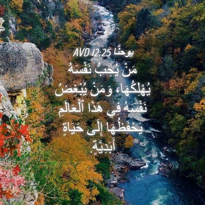 Picture 04 - يوحنَّا 12:25 AVD - مَنْ يُحِبُّ نَفْسَهُ - Bible Verse Picture