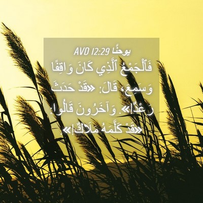 Picture 04 - يوحنَّا 12:29 AVD - فَٱلْجَمْعُ ٱلَّذِي كَانَ - Bible Verse Picture