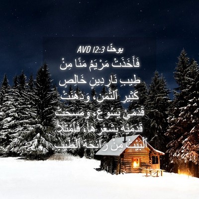 Picture 04 - يوحنَّا 12:3 AVD - فَأَخَذَتْ مَرْيَمُ مَنًا - Bible Verse Picture