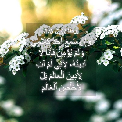 Picture 04 - يوحنَّا 12:47 AVD - وَإِنْ سَمِعَ أَحَدٌ - Bible Verse Picture