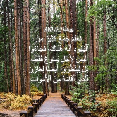 Picture 04 - يوحنَّا 12:9 AVD - فَعَلِمَ جَمْعٌ كَثِيرٌ - Bible Verse Picture
