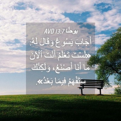 Picture 04 - يوحنَّا 13:7 AVD - أَجَابَ يَسُوعُ وَقَالَ - Bible Verse Picture