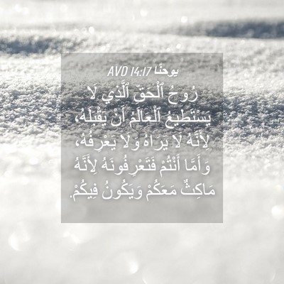 Picture 04 - يوحنَّا 14:17 AVD - رُوحُ ٱلْحَقِّ ٱلَّذِي لَا - Bible Verse Picture