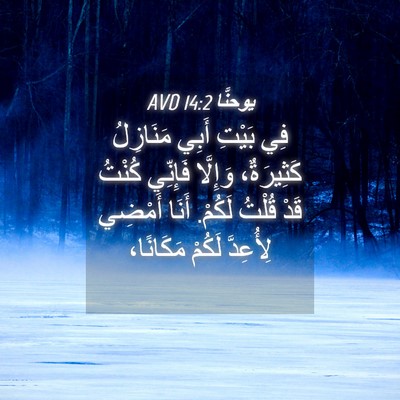 Picture 04 - يوحنَّا 14:2 AVD - فِي بَيْتِ أَبِي مَنَازِلُ - Bible Verse Picture