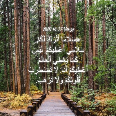 Picture 04 - يوحنَّا 14:27 AVD - «سَلَامًا أَتْرُكُ لَكُمْ. - Bible Verse Picture