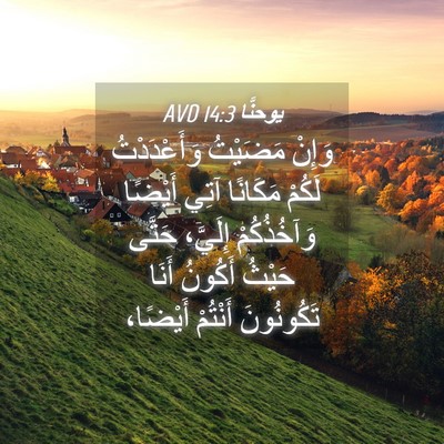 Picture 04 - يوحنَّا 14:3 AVD - وَإِنْ مَضَيْتُ - Bible Verse Picture