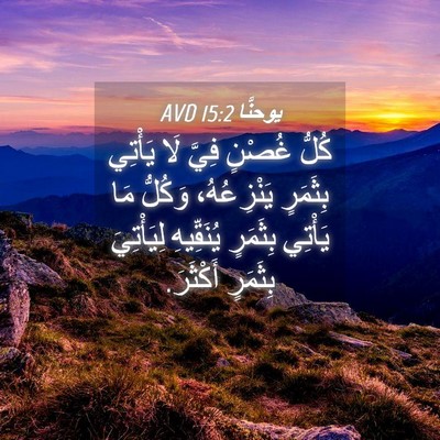 Picture 04 - يوحنَّا 15:2 AVD - كُلُّ غُصْنٍ فِيَّ لَا - Bible Verse Picture