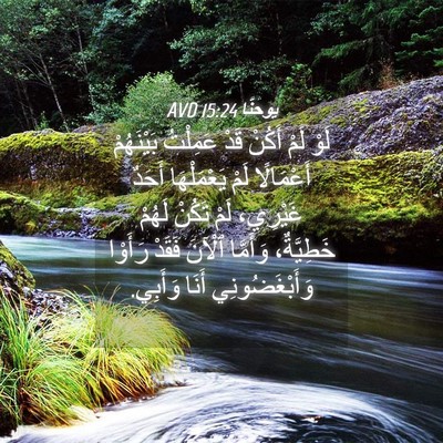 Picture 04 - يوحنَّا 15:24 AVD - لَوْ لَمْ أَكُنْ قَدْ - Bible Verse Picture