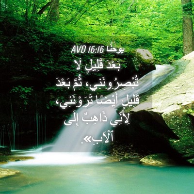 Picture 04 - يوحنَّا 16:16 AVD - بَعْدَ قَلِيلٍ لَا - Bible Verse Picture