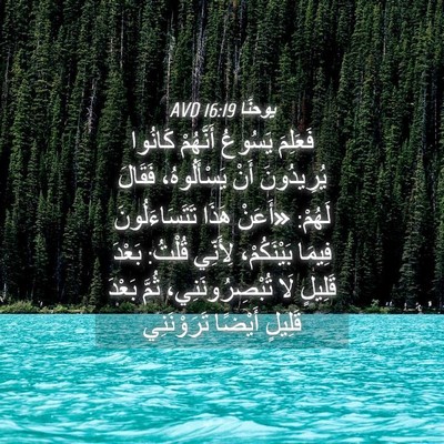Picture 04 - يوحنَّا 16:19 AVD - فَعَلِمَ يَسُوعُ - Bible Verse Picture