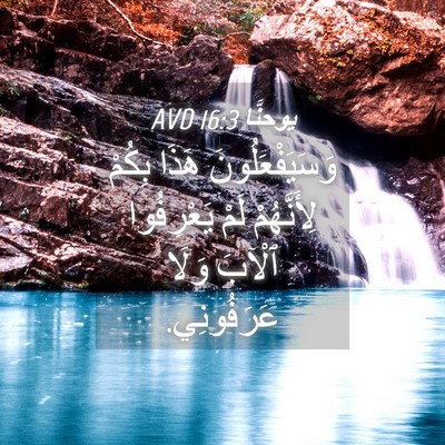 Picture 04 - يوحنَّا 16:3 AVD - وَسَيَفْعَلُونَ هَذَا - Bible Verse Picture