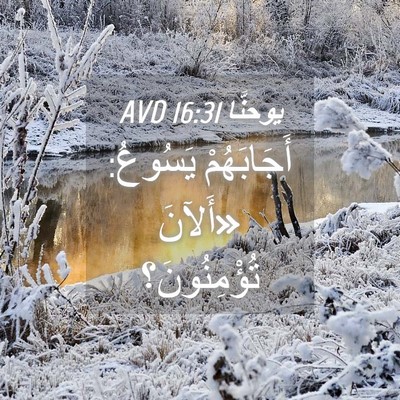 Picture 04 - يوحنَّا 16:31 AVD - أَجَابَهُمْ يَسُوعُ: - Bible Verse Picture