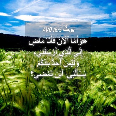 Picture 04 - يوحنَّا 16:5 AVD - «وَأَمَّا ٱلْآنَ فَأَنَا - Bible Verse Picture