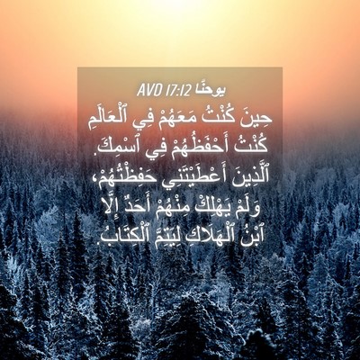 Picture 04 - يوحنَّا 17:12 AVD - حِينَ كُنْتُ مَعَهُمْ فِي - Bible Verse Picture