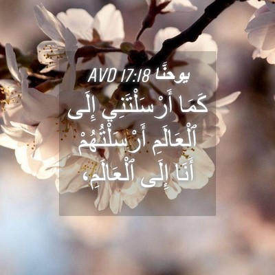 Picture 04 - يوحنَّا 17:18 AVD - كَمَا أَرْسَلْتَنِي إِلَى - Bible Verse Picture