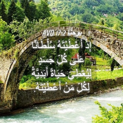 Picture 04 - يوحنَّا 17:2 AVD - إِذْ أَعْطَيْتَهُ - Bible Verse Picture