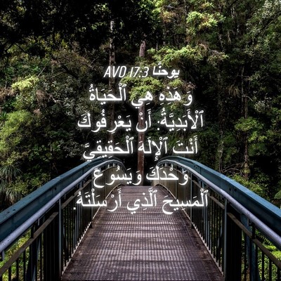 Picture 04 - يوحنَّا 17:3 AVD - وَهَذِهِ هِيَ ٱلْحَيَاةُ - Bible Verse Picture
